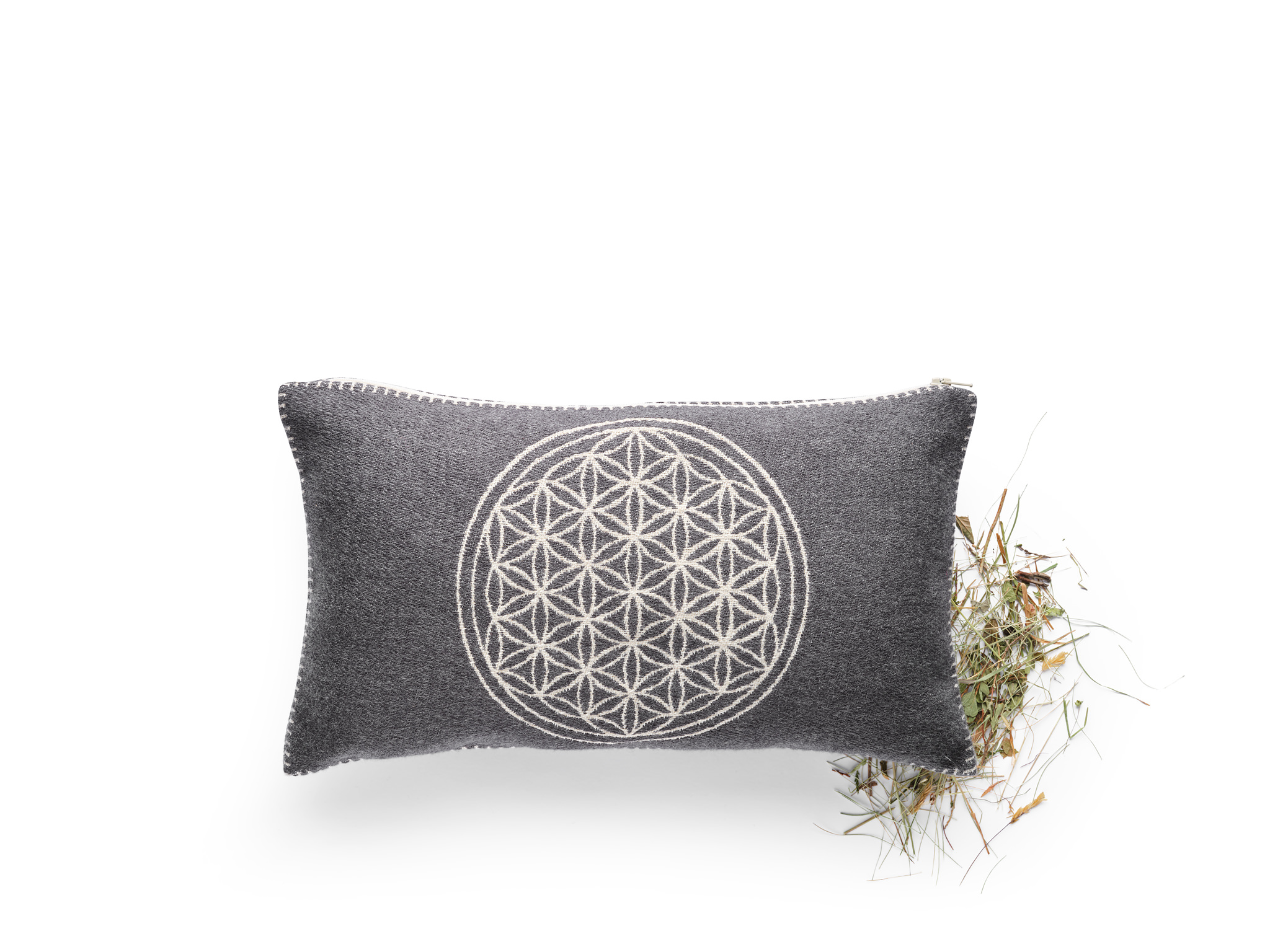 Bergheukissen Lebensblume