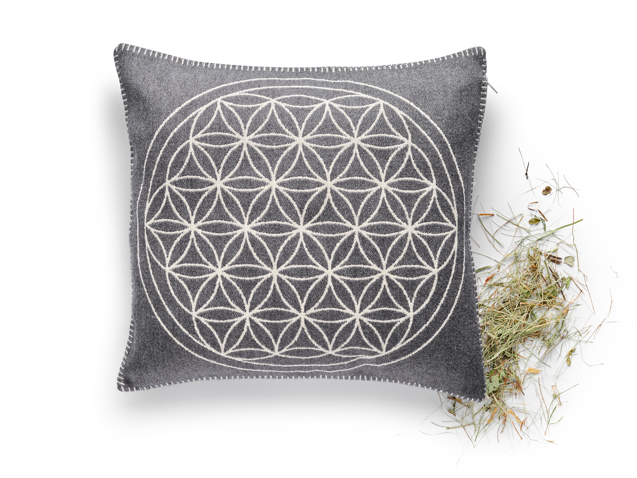 Bergheukissen Lebensblume